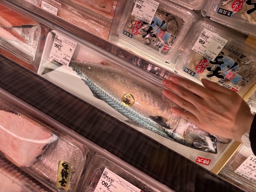 TOUKA（ﾄｳｶ） でっかっっ🐟