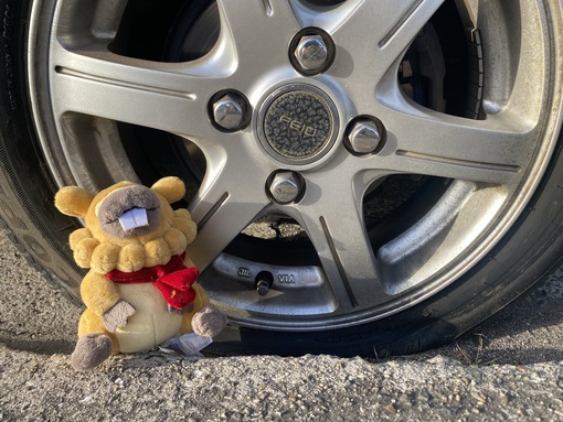 TSUZURU(ﾂﾂﾞﾙ) インフルとパンクの夢のコラボ🛞