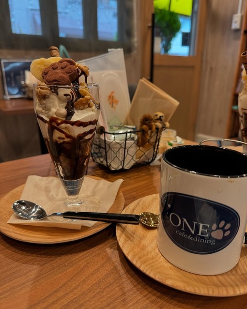 TSUKASA(ﾂｶｻ) わんちゃんは好きですか？🐶