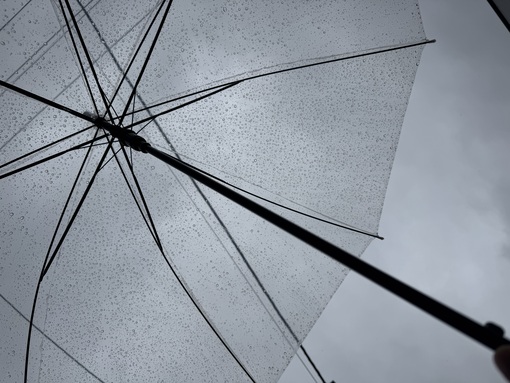 RYOUSUKE(ﾘｮｳｽｹ) 空が悲しくて泣いただけ☔️