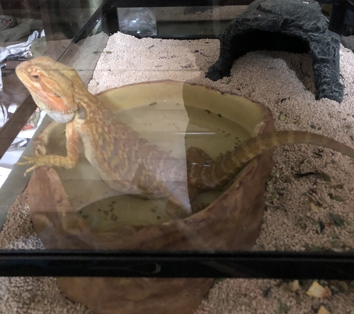 HARURU 自分を曝け出せる場所