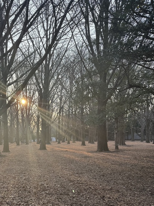 RYOUSUKE(ﾘｮｳｽｹ) 風や花粉
