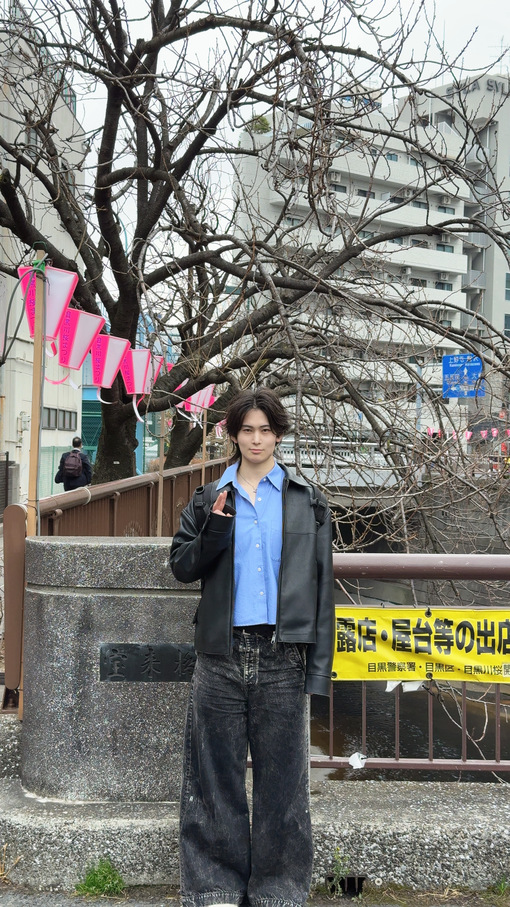 DAIYA(ﾀﾞｲﾔ) さくら満開