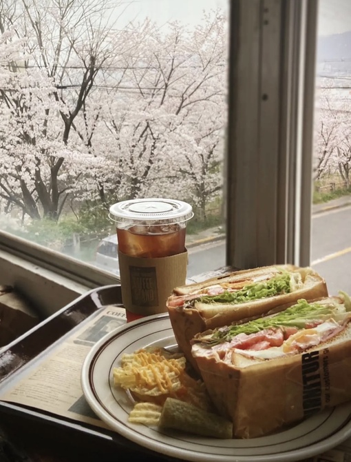 UMI(ｳﾐ) もうすぐ桜の時期やね