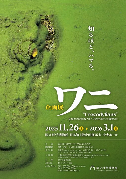 HULK(ﾊﾙｸ) 鰐🧞‍♂️