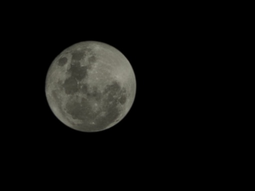 SHINYA(ｼﾝﾔ) 「あなたと見るから綺麗なのです」