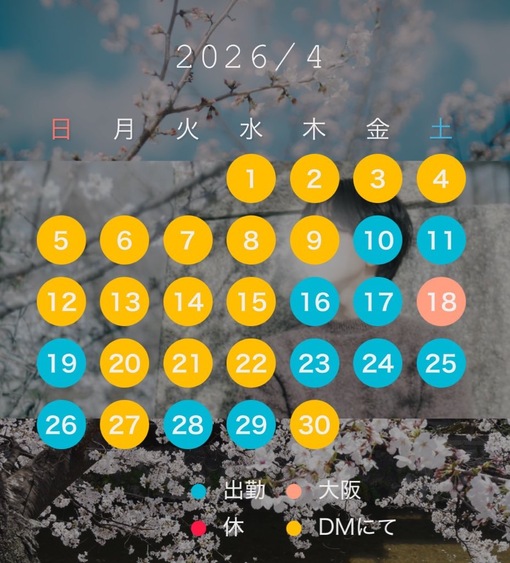 UMI(ｳﾐ) 最新スケジュール