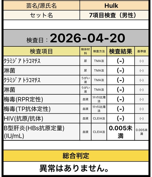 HULK(ﾊﾙｸ) 中間検査🧞‍♂️