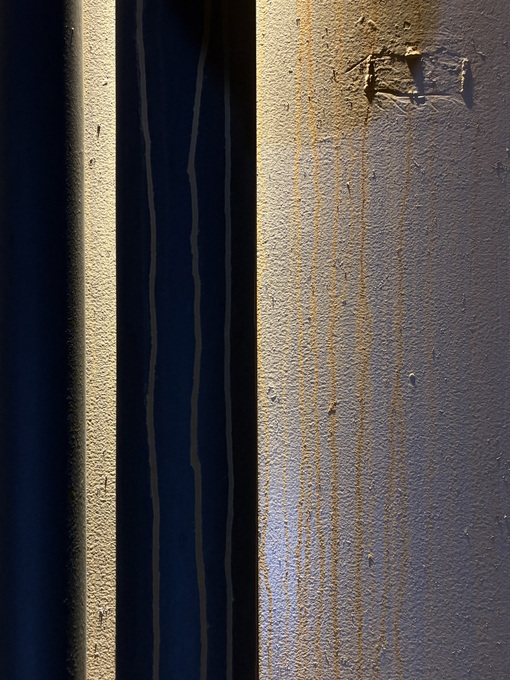 ITSUKI(ｲﾂｷ) 今日のお散歩写真