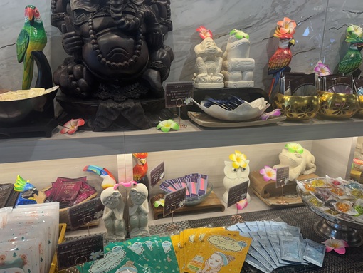 オアシス福岡広報 熊本在住セラピスト✨