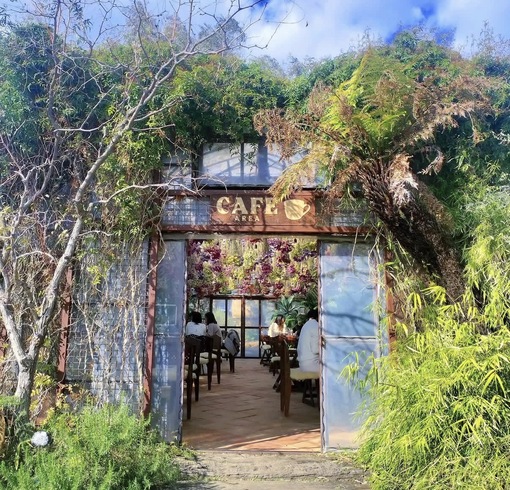 MAO   A nature-filled café
