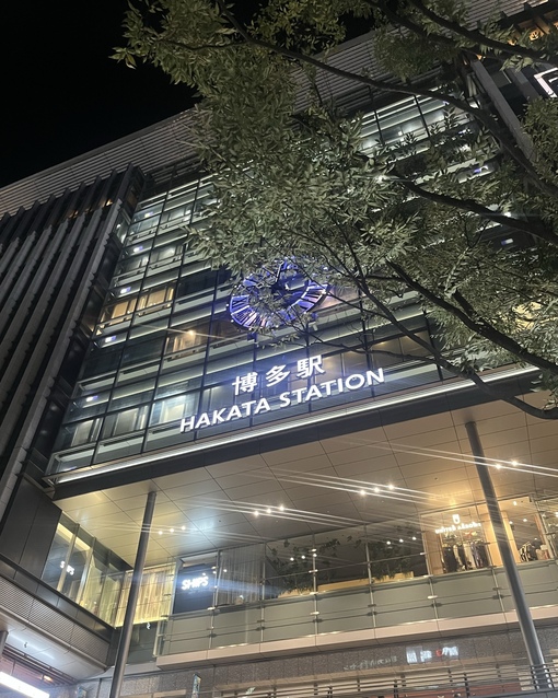 癒しのHARU 福岡に帰ってきました