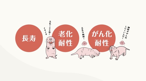 ITSUKI(ｲﾂｷ) ハダカデバネズミになりたい