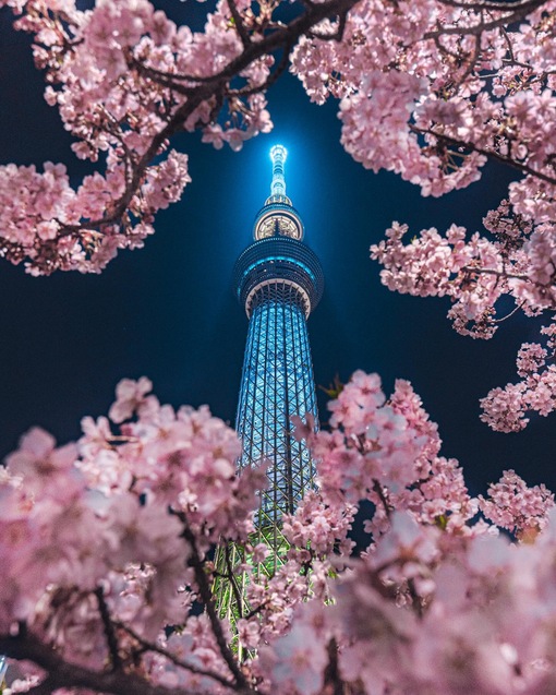 TSUKASA(ﾂｶｻ) 急に寂しい夜