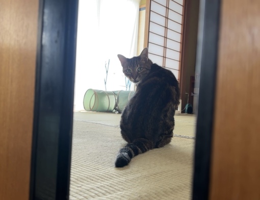 RIA(リア) 思い出がよみがえる、その瞬間が好き。