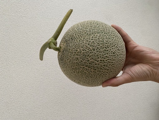 JIN(ｼﾞﾝ) 夕張メロン食べた🍈