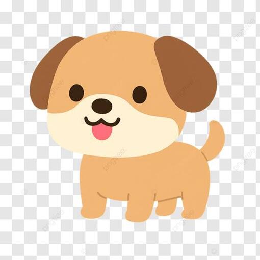 NOA(ノア) イメージ🐶