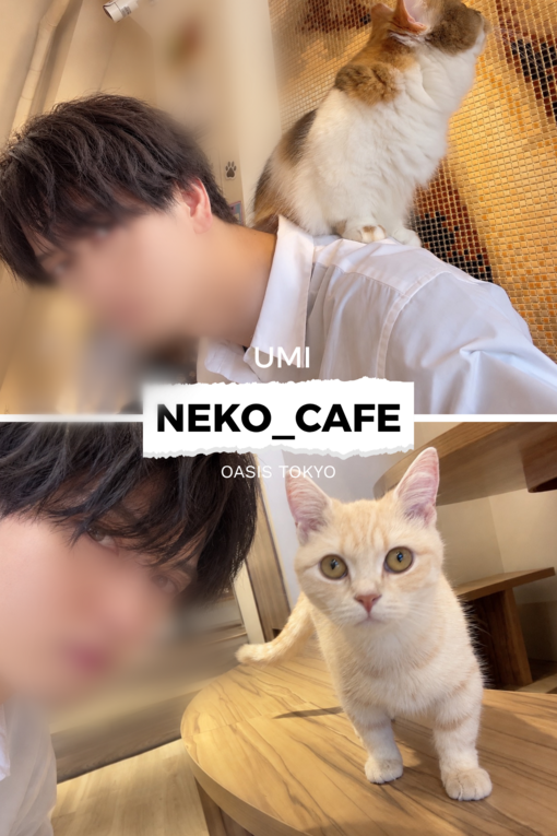 UMI(ｳﾐ) 猫カフェに行くと…