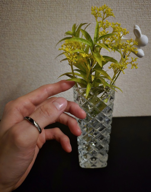 SHINYA(ｼﾝﾔ) 僕の、ちょっとした楽しみ