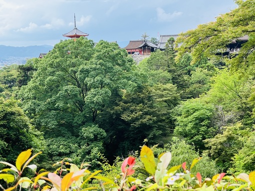 AINOSUKE(ｱｲﾉｽｹ) 夏の京都に来ました✨