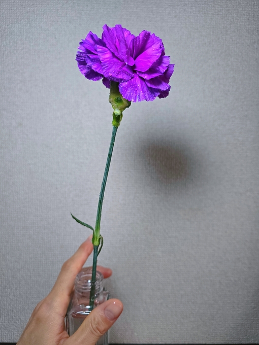 SHINYA(ｼﾝﾔ) すべてのお母さんへ💐