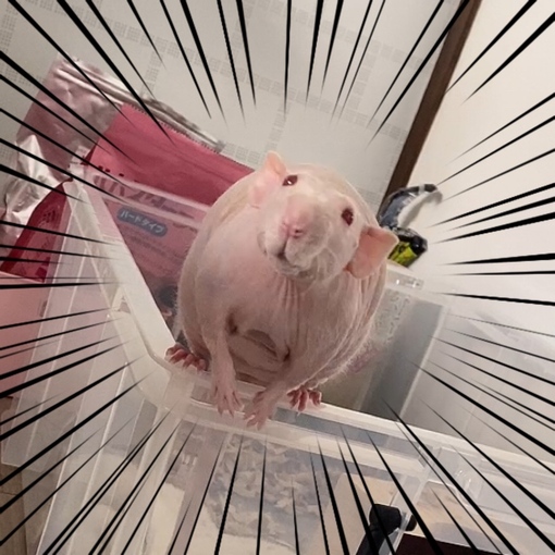 TSUZURU(ﾂﾂﾞﾙ) 沼の原点ｯｯ🐀