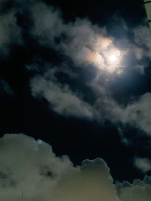SHINYA(ｼﾝﾔ) 静かな夜に、そっと思うこと🌃